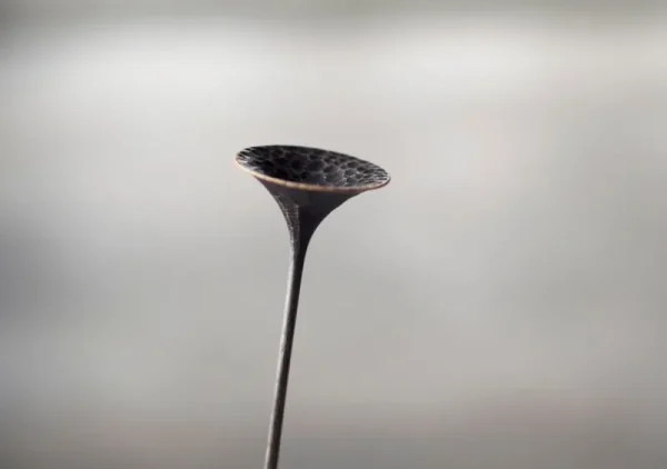 Antrei Hartikainen Kunstgegenstände^Skulptur Kukkii Fungi, klein