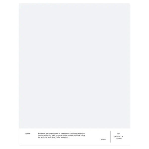 Cover Story Wandfarben^Farbmuster, 003 MAGNUS – Ice White