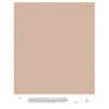 Cover Story Wandfarben^Farbmuster, 021 SIRI – Rosabeige