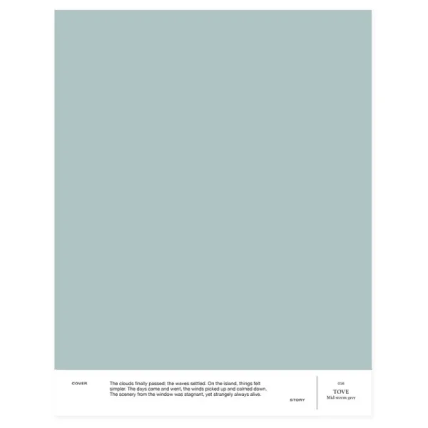 Cover Story Wandfarben^Farbmuster, 016 TOVE – Mid Storm Grey