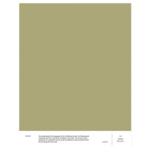 Cover Story Wandfarben^Farbmuster, 028 TONI – Mellow Olive