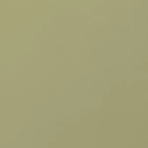 Cover Story Wandfarben^Farbmuster, 028 TONI – Mellow Olive