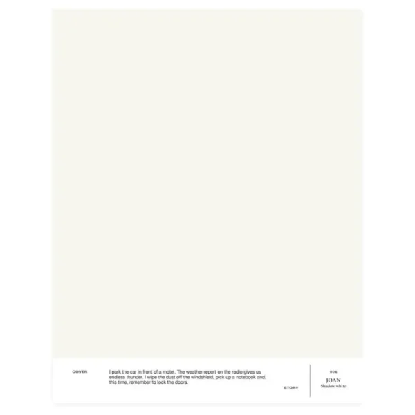Cover Story Wandfarben^Innenfarbe, 9 L, 004 JOAN – Shadow White