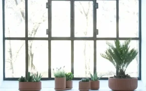 Elementa Indoor-gardening^Klorofyll 150 Topf, Terrakotta