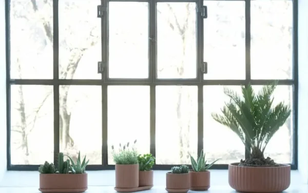 Elementa Indoor-gardening^Klorofyll 150 Topf, Terrakotta