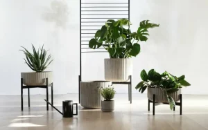 Elementa Indoor-gardening^Klorofyll Pflanzgefäß mit Ständer, niedrig, Grau