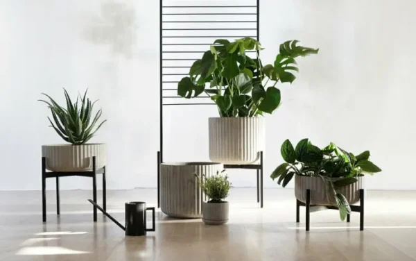 Elementa Indoor-gardening^Klorofyll Pflanzgefäß mit Ständer, niedrig, Grau