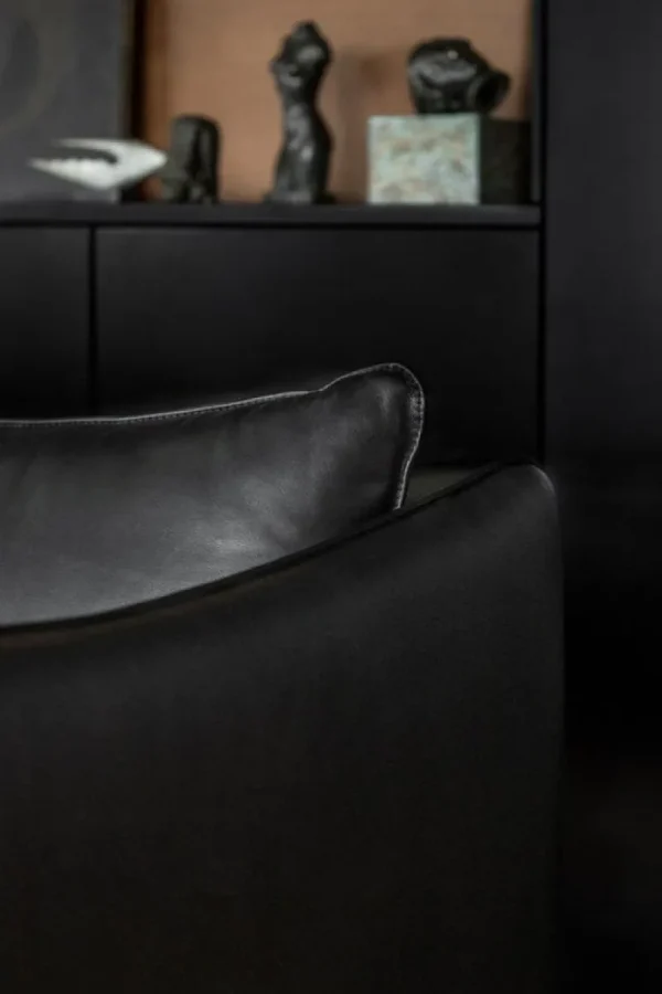 Fogia Sofas Und Liegen-Tiki 2-Sitzer-Sofa, schwarzer Stahl - schwarzes Elmosoft-Leder