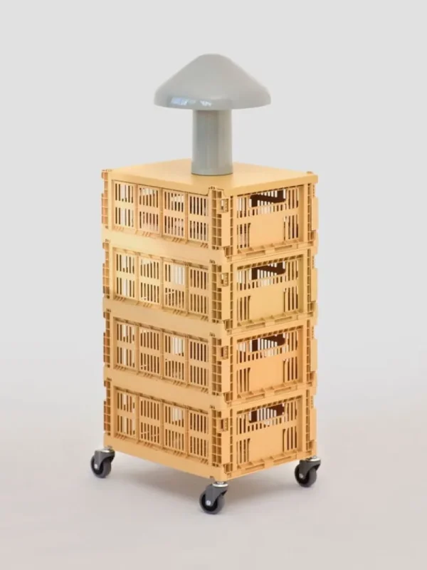 HAY Aufbewahrungsbehälter^Colour Crate Rollenset, 4 Stück, M