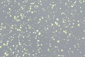 Hem Tische | Sitzgelegenheiten-Last Hocker, Grau – Lime Splatter