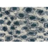 Hem Teppiche Und Läufer^Monster Teppich, 250 x 350 cm, dunkles Blaugrün - Cremeweiß