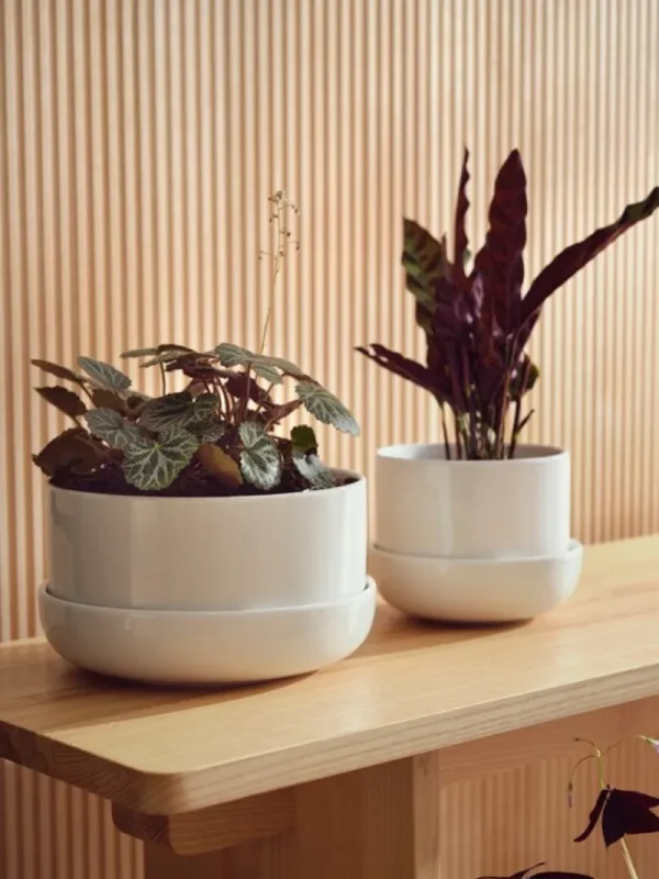 Iittala Indoor-gardening^Nappula Blumentopf mit Untersetzer, 240 x 130 mm, Weiß