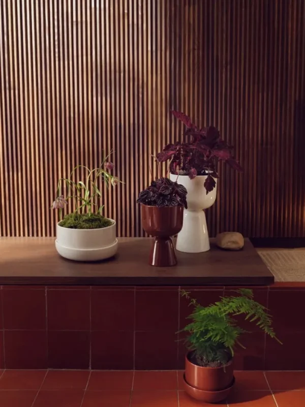 Iittala Indoor-gardening^Nappula Blumentopf mit Untersetzer, 240 x 130 mm, Beige