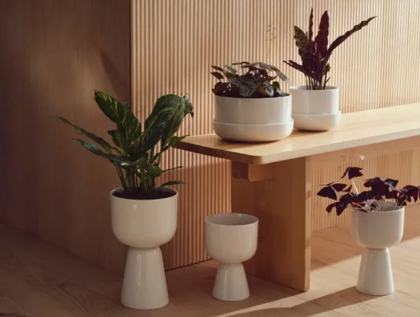 Iittala Indoor-gardening^Nappula Blumentopf mit Untersetzer, 240 x 130 mm, Weiß