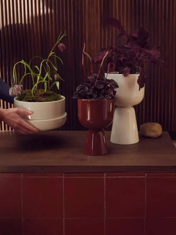 Iittala Indoor-gardening^Nappula Blumentopf mit Untersetzer, 240 x 130 mm, Weiß