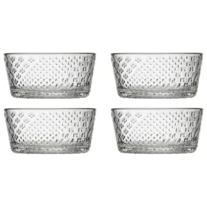 Iittala Geschirr^Tundra Schale, 250 ml, 4 Stück, klar