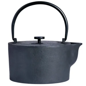 Iwatemo Karaffen Und Krüge^HK Wasserkocher, 1 l, Gusseisen