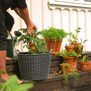 Korbo Garten^Planting Bag 24, 3 Stück