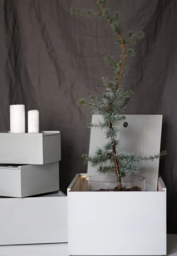 Lundia Aufbewahrungsbehälter^System 3 Box, grau