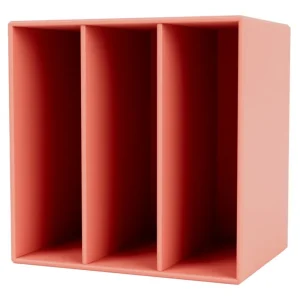 Poiat Regale-Montana Furniture Montana Mini Modul mit vertikalen Trennwänden, 151 Rhubarb