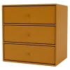 Tapio Anttila Collection Regale-Montana Furniture Montana Mini Modul mit 3 Schubladen, 142 Amber