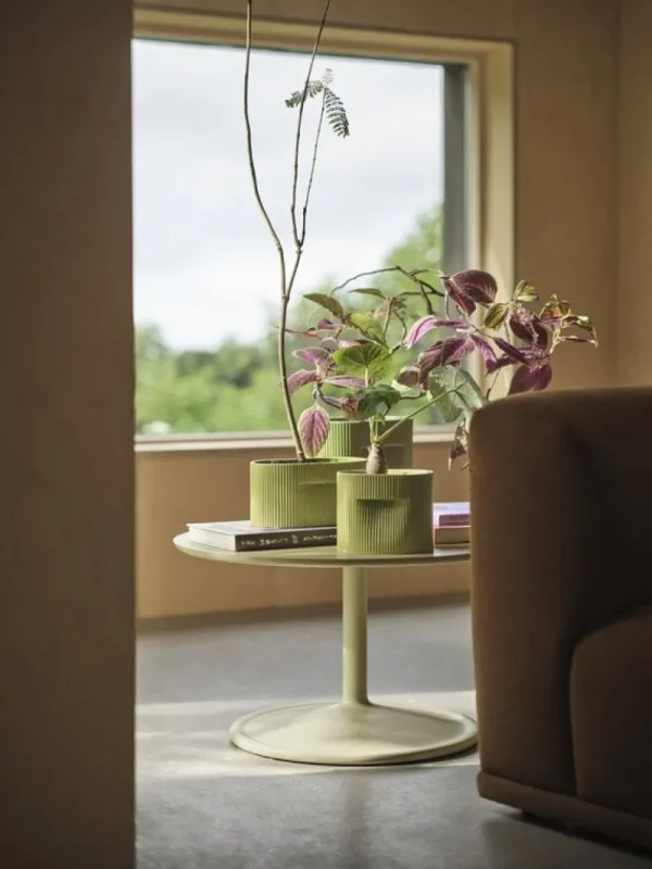 Muuto Indoor-gardening^Ridge Blumentopf, H 24 cm, moosgrün
