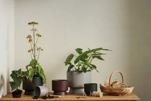 Rosendahl Garten^Blumentopf, 24 cm, Grün