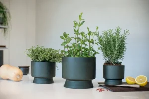 Rosendahl Garten^Blumentopf, 19 cm, Grün