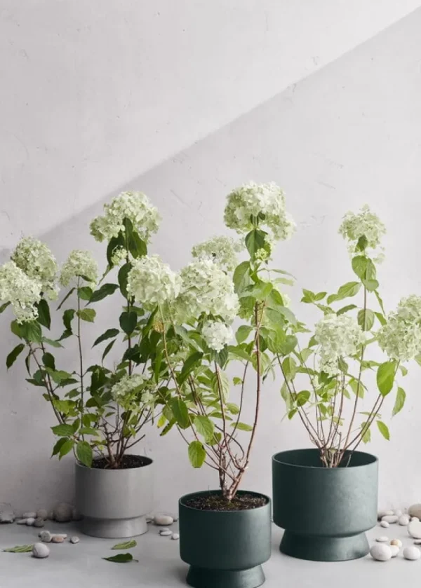 Rosendahl Garten^Blumentopf, 24 cm, Grün