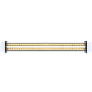 Sammode Deckenleuchten-Quadratube P2 Pendelleuchte, 1300 mm, champagner