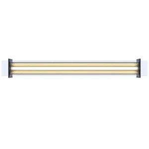 Sammode Deckenleuchten-Quadratube P1 Pendelleuchte, 1300 mm, champagner