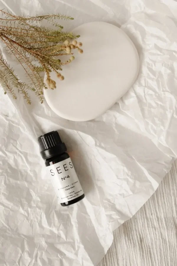 SEES Company Hygiene- Und Kosmetikprodukte^Set aus Duftstein und ätherischem Öl, 10 ml, Eukalyptus