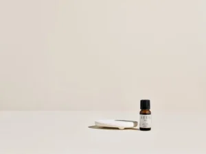 SEES Company Hygiene- Und Kosmetikprodukte^Set aus Duftstein und ätherischem Öl, 10 ml, Eukalyptus