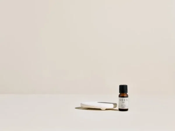 SEES Company Hygiene- Und Kosmetikprodukte^Set aus Duftstein und ätherischem Öl, 10 ml, Eukalyptus