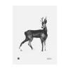 Teemu Ju00e4rvi Illustrations Poster Und Pinnwände^Teemu Järvi Illustrations Poster Deer, 30 x 40 cm