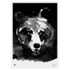 Teemu Ju00e4rvi Illustrations Poster Und Pinnwände^Teemu Järvi Illustrations Mysterious Bear Poster, 50 x 70 cm