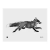 Teemu Ju00e4rvi Illustrations Poster Und Pinnwände^Teemu Järvi Illustrations Adventurous Fox Poster, 40 x 30 cm