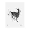 Teemu Ju00e4rvi Illustrations Poster Und Pinnwände^Teemu Järvi Illustrations Poster White-Tailed Deer, 30 x 40 cm