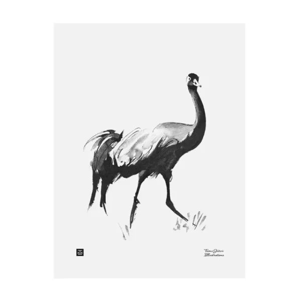 Teemu Ju00e4rvi Illustrations Poster Und Pinnwände^Teemu Järvi Illustrations Poster Common Crane, 30 x 40 cm