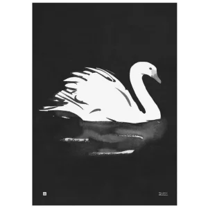 Teemu Ju00e4rvi Illustrations Poster Und Pinnwände^Teemu Järvi Illustrations Poster Swan, 50 x 70 cm