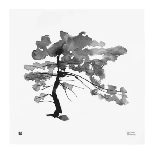 Teemu Ju00e4rvi Illustrations Poster Und Pinnwände^Teemu Järvi Illustrations Poster Pine Tree, 50 x 50 cm