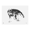 Teemu Ju00e4rvi Illustrations Poster Und Pinnwände^Teemu Järvi Illustrations Poster Wolf, 70 x 50 cm