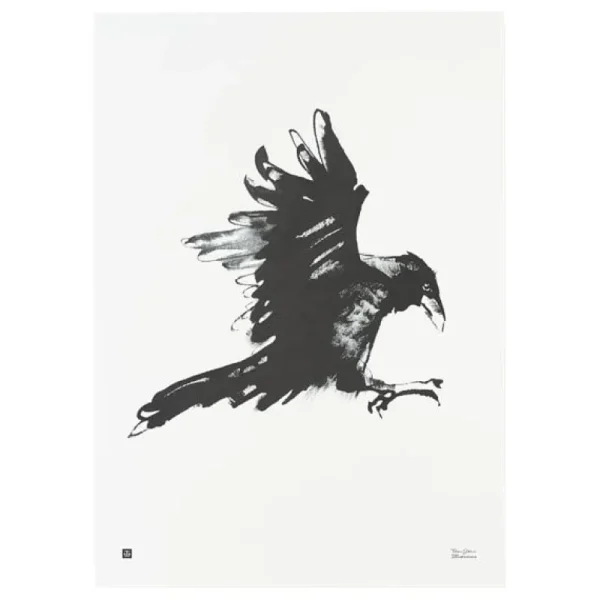 Teemu Ju00e4rvi Illustrations Poster Und Pinnwände^Teemu Järvi Illustrations Poster Raven, 50 x 70 cm