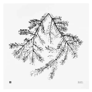 Teemu Ju00e4rvi Illustrations Poster Und Pinnwände^Teemu Järvi Illustrations Spruce Branch Poster, 50 x 50 cm