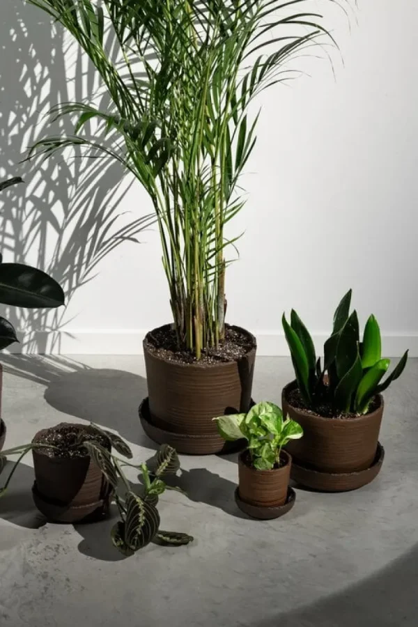 Vaidava Ceramics Indoor-gardening^Soil Topf mit Untersetzer, XXL, Braun