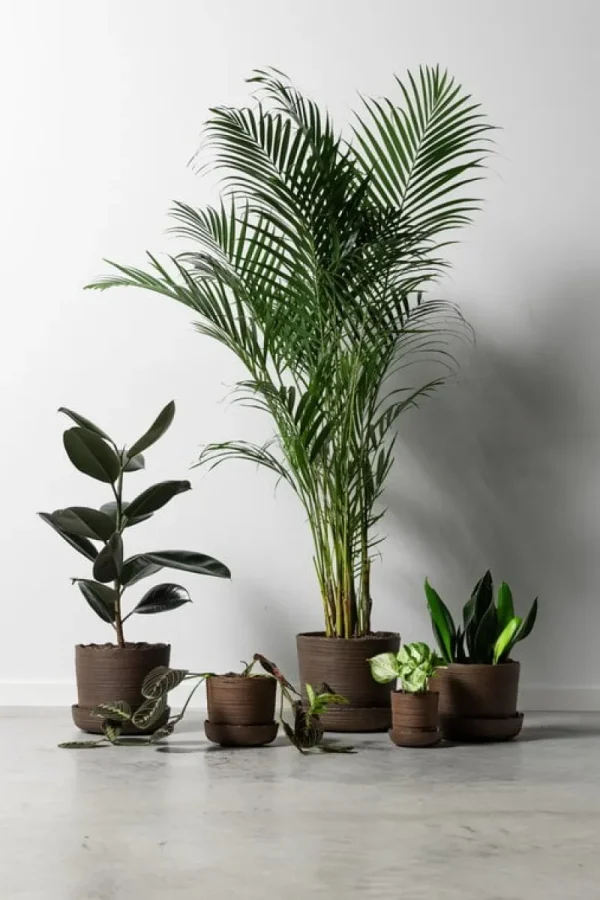 Vaidava Ceramics Indoor-gardening^Soil Topf mit Untersetzer, L, Braun