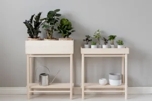Verso Design Indoor-gardening^Taimi Pflanzenständer mit niedrigem Kasten