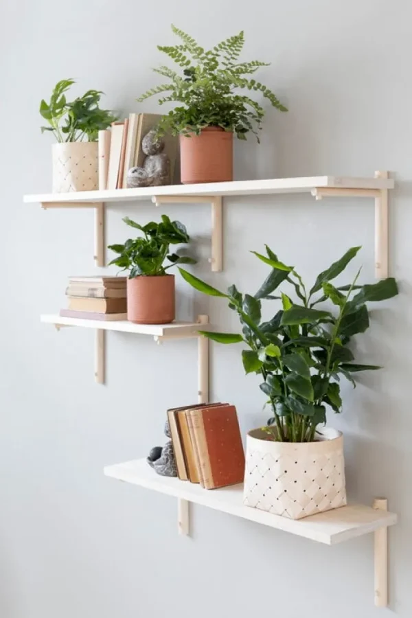 Woud Regale-Verso Design Tikas Wandregal 24 x 80 cm, Birke