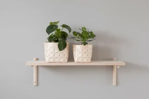 Woud Regale-Verso Design Tikas Wandregal 24 x 80 cm, Birke