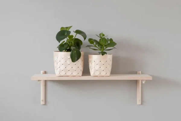 Woud Regale-Verso Design Tikas Wandregal 24 x 80 cm, Birke